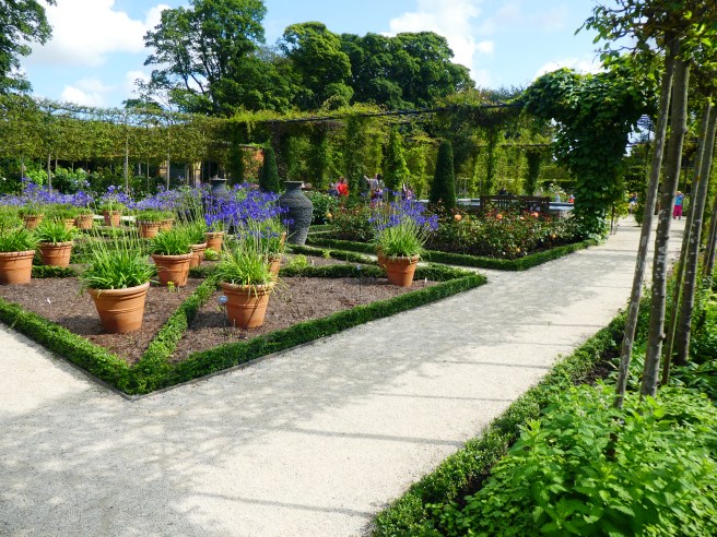 The Ornamental Garden at The Alnwick Garden