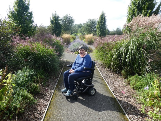 Even the approach to Breezy Knees Gardens is colourful!