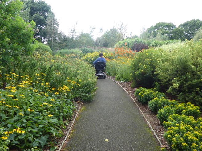 September Garden, Breezy Knees