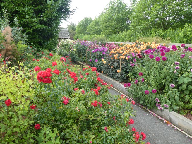 Plenty of autumn colour at Breezy Knees