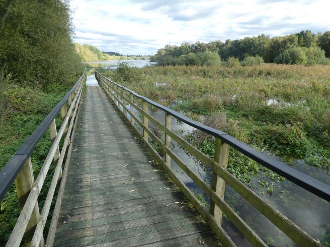 Boardwalk and flooding, Fairburn Ings