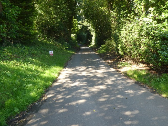 Driveway to Doxford Cottages