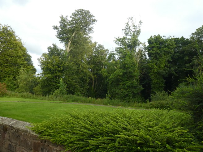 The peaceful surroundings of Doxford Cottages