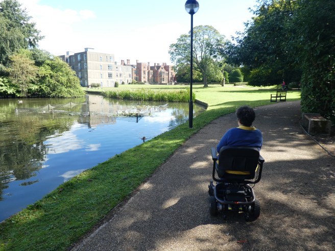 York University campus