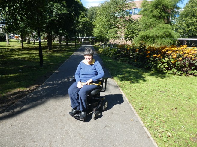 York University campus