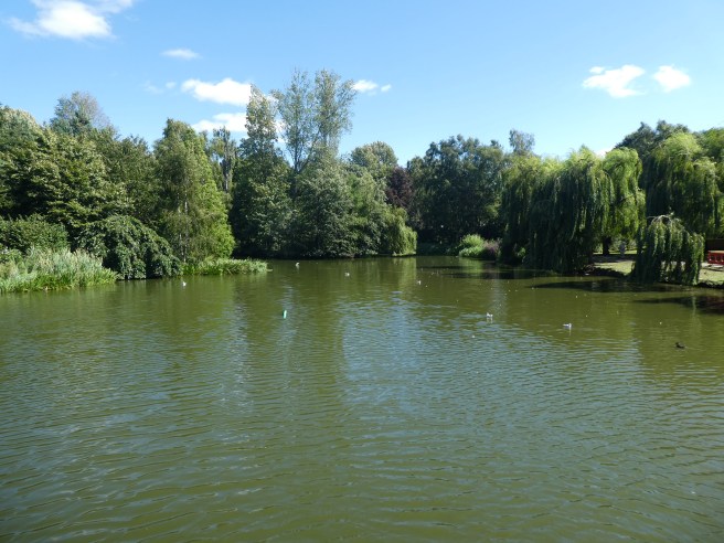 York University campus