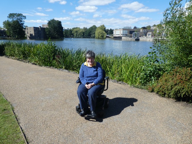 York University campus