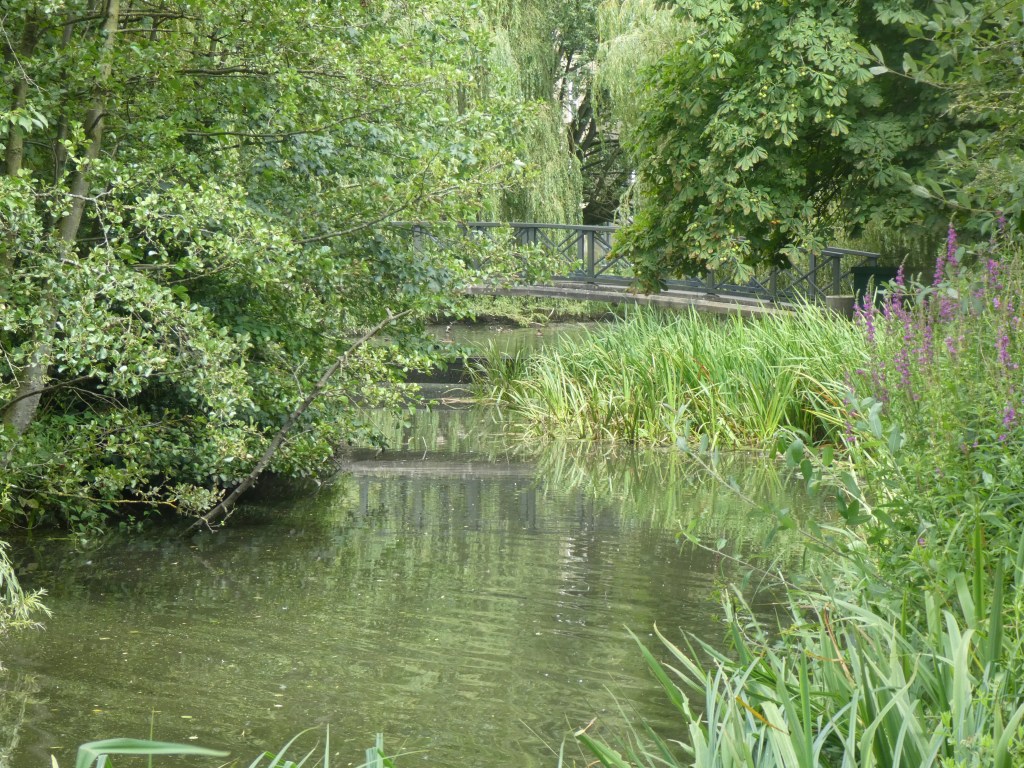 York university campus