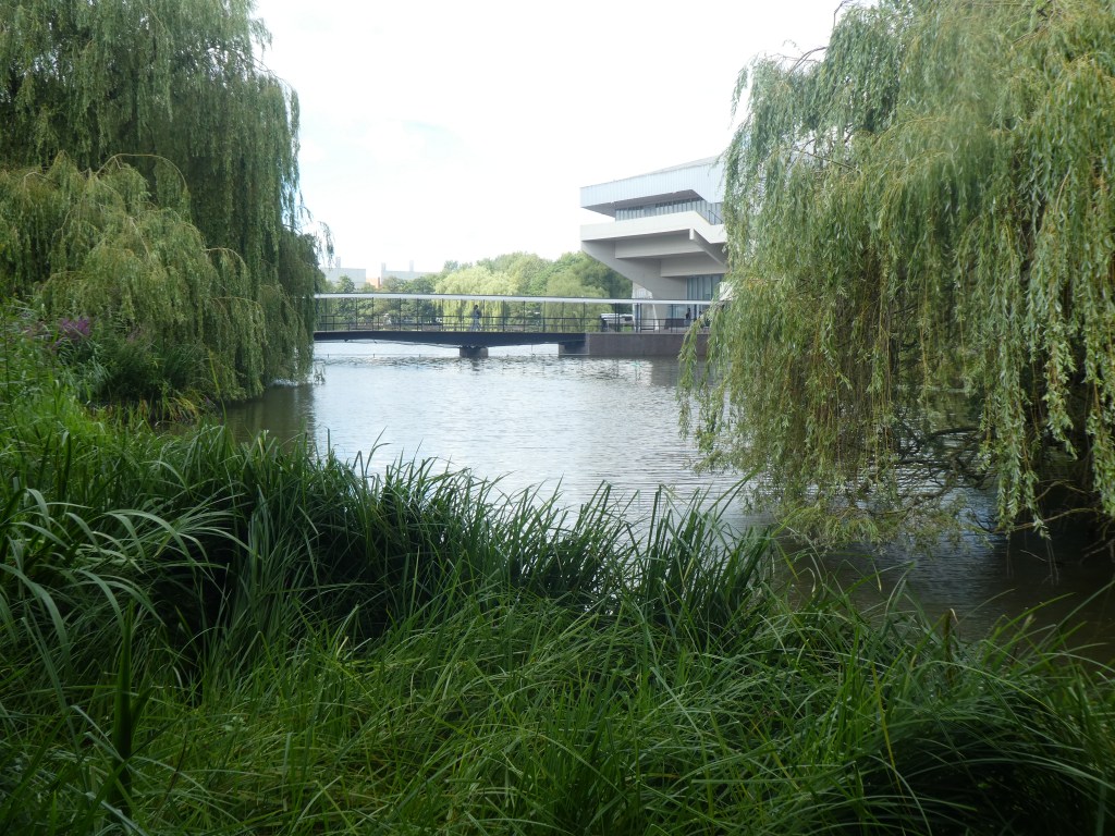 York university campus